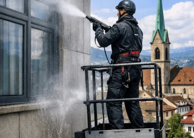 PJM Dachreinigung Work Image