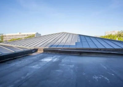PJM Dachreinigung Work Image